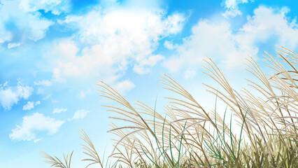 ススキ　秋の風景　水彩画　素材　穂　草原　野原　高原　田舎　行楽　ハイキング　お彼岸　晴れ　爽やか　シンプル　ポスター　16:9