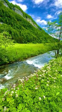 Video by syifa_in_switzerland