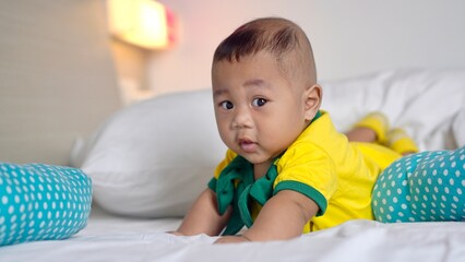 Fototapeta premium A fat and healthy five month old