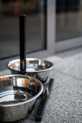 bowl of drinking water for dogs in public facilities - caring for animals in cities