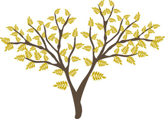 Obraz premium Autumn Leaf Branch