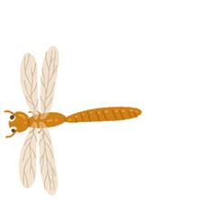 Cute dragonfly 