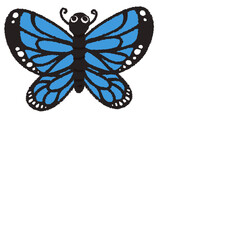 butterfly illustration