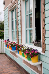 
vases with flowers on the windowsill