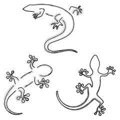 lizard icon set, brush strokes on a white background. Vector illustration.