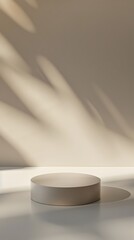 interior with light close up product display podium