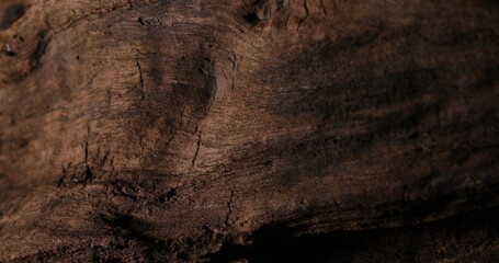 Dark Aged Wood. Close-up, shallow dof.