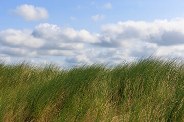 Holland Renesse Brouwersdam 