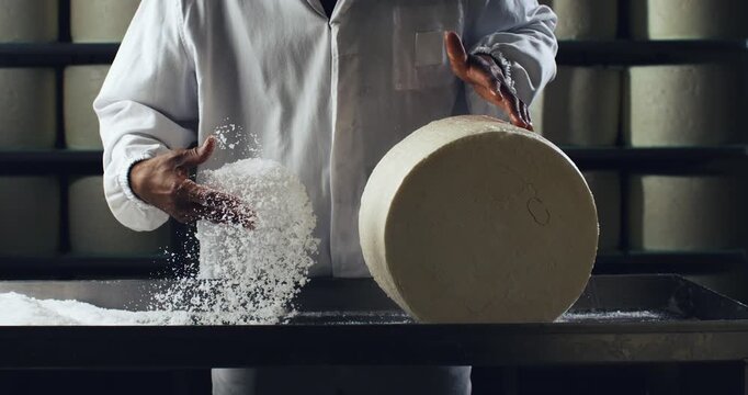 Super slow motion close up of artisan cheesemaker adding salt to fresh made of bio eco milk traditional gorgonzola cheese during making process at cheese production creamery dairy factory at 1000 fps.