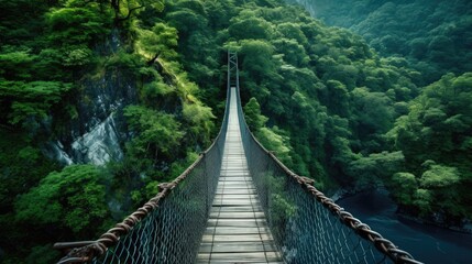 Aerial view of a winding river through a dense forest