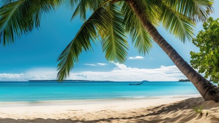 green tropical palm leaf