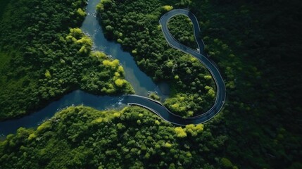 Fototapeta premium Aerial view of a winding river through a dense forest