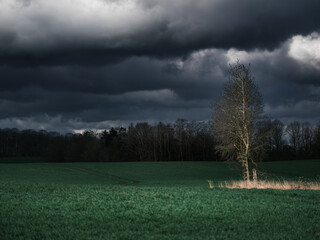 Chmury nad polem © Robert
