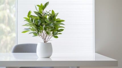 leafy white table with plant
