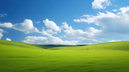 Fototapeta premium fluffy blue sky green field