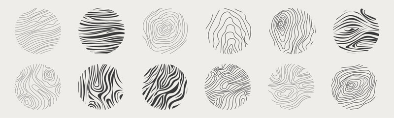Wood texture material doodle hand drawn line. Tree trunk geometric curve and wave contour. Rings and circles. 