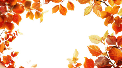 Autumn leaves on transparent background