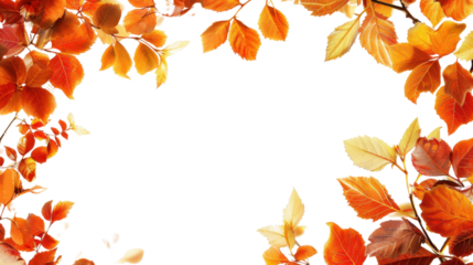 Autumn leaves on transparent background