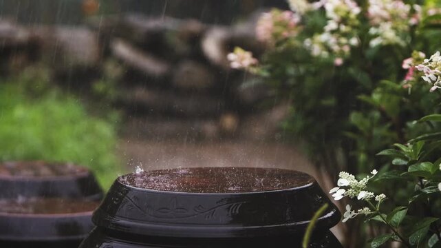 Heavy rain pouring down on a traditional Korean kimchi jar, rainy scenery, relaxing rain sound ASMR
