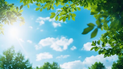 Fototapeta premium vibrant sky blue background