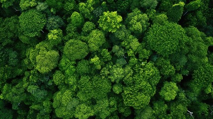 Naklejka premium green earth white background