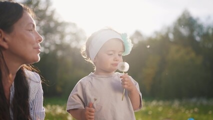 The Kid Blows Dandelion Family. happy family kid dream concept. The child blows dandelion. Mom teaches daughter toddler to blow on a dandelion flower, play in the park lifestyle in summer