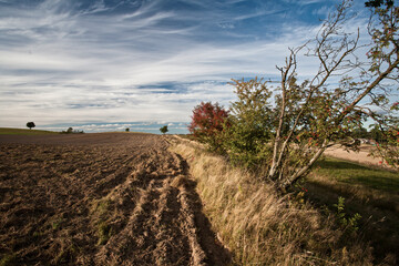 Jesień © Robert