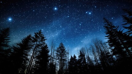 Naklejka premium stars night sky above trees