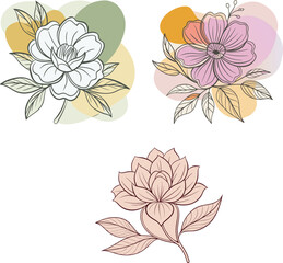 Elevate Designs with Elegant Flower Outline Vector