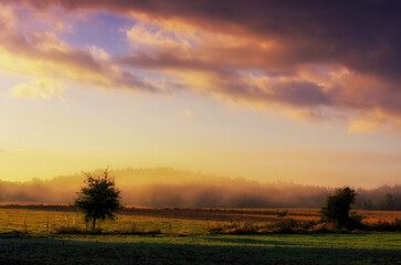 Wschód słońca na łące