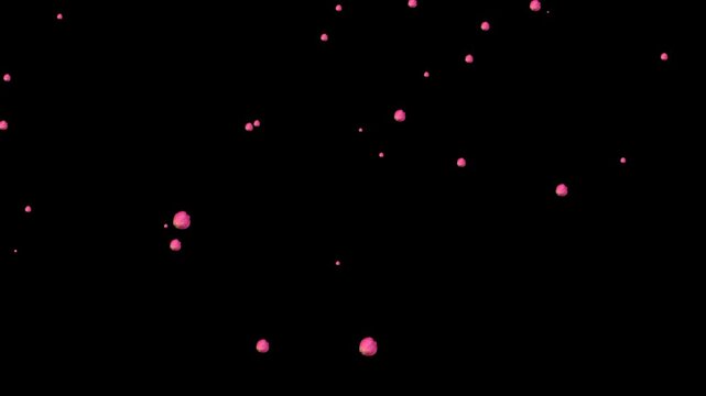 alpha Beautiful petals flying in the wind