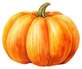 Obraz premium PNG Pumpkin vegetable squash plant.