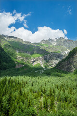 Obraz premium Magnificent Georgian Svaneti mountains. Streams flowing through Svaneti mountains and valleys. Svaneti mountains and streams. Magnificent Svaneti forests.