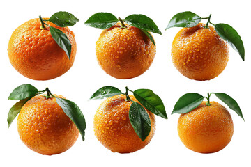 Fresh oranges with green leaves, arranged in two rows. The fruits are vibrant and detailed, showing the texture and freshness of the oranges.