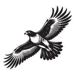 Fototapeta premium Red-tailed hawk Silhouette, Eagle Clipart, Red-tailed hawk Soaring vector illustration