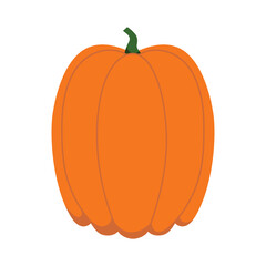 Orange flat pumpkin. Vector illustration isolated on white background