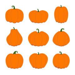 Collection of orange flat pumpkins. Illustration on transparent background