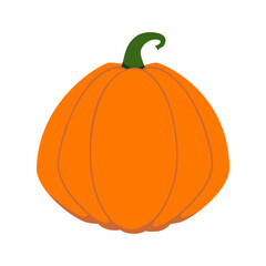 Orange flat pumpkin. Illustration on transparent background