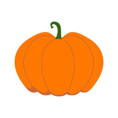 Orange flat pumpkin. Illustration on transparent background