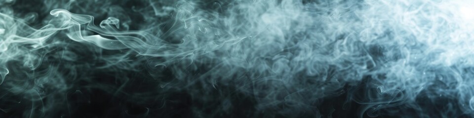 Obraz premium Abstract Smoke. Dark Background with Misty Black and White Effect