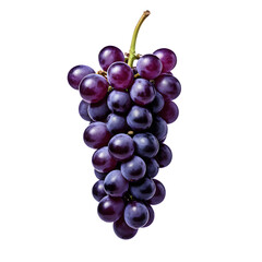 purple grape, isolated on transparent background, clipping path, full depth of field
