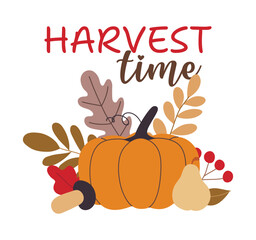 Autumn pumpkins and forest leaves and mushrooms isolated on white background