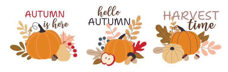 Autumn pumpkins and forest leaves and berries isolated on white background