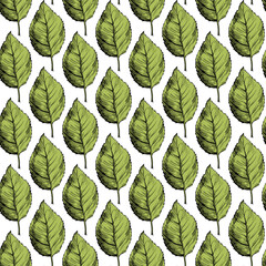 Fototapeta premium Seamless pattern with green leaves on white background. Hand drawn illustration for background.