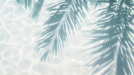 Shadows of palm leaves reflecting on tranquil water beneath bright sunlight in tropical paradise