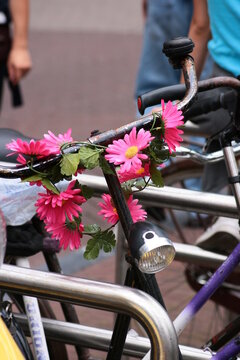 Flowers and bikes, AMSTERDAM