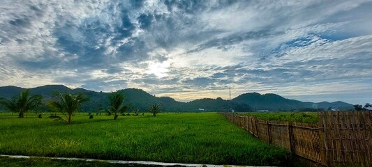 landscape of green hills and green rice fields in the countryside