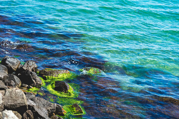 Rocky shore of azure sea with green moss. Natural scenic background