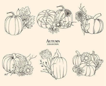 Pumpkins and fall flowers line drawing illustration, hand drawn vector set