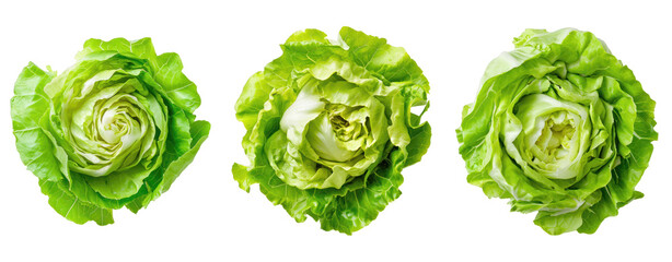 set of slice green iceberg lettuce transparent background